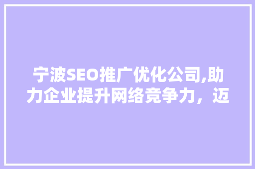 宁波SEO推广优化公司,助力企业提升网络竞争力，迈向成功之路