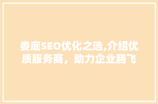 娄底SEO优化之选,介绍优质服务商，助力企业腾飞
