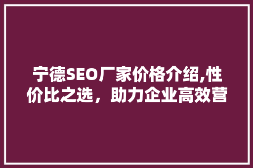 宁德SEO厂家价格介绍,性价比之选，助力企业高效营销