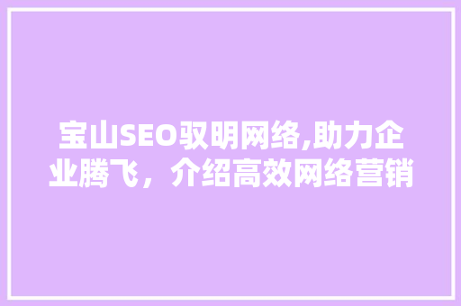 宝山SEO驭明网络,助力企业腾飞，介绍高效网络营销之路