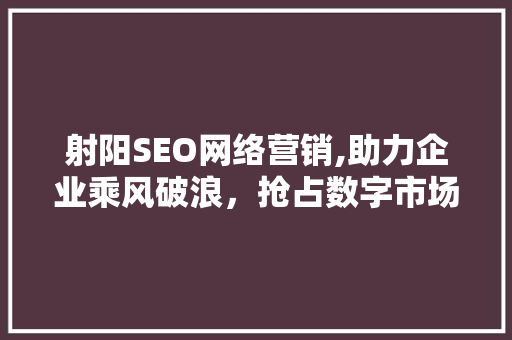 射阳SEO网络营销,助力企业乘风破浪，抢占数字市场制高点