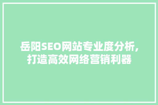 岳阳SEO网站专业度分析,打造高效网络营销利器