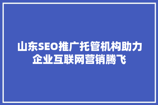 山东SEO推广托管机构助力企业互联网营销腾飞