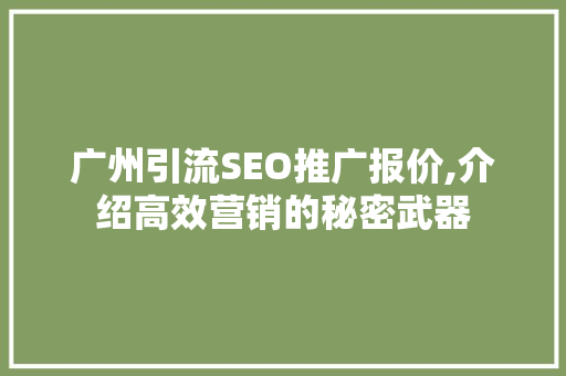 广州引流SEO推广报价,介绍高效营销的秘密武器