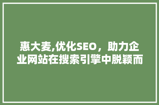 惠大麦,优化SEO，助力企业网站在搜索引擎中脱颖而出