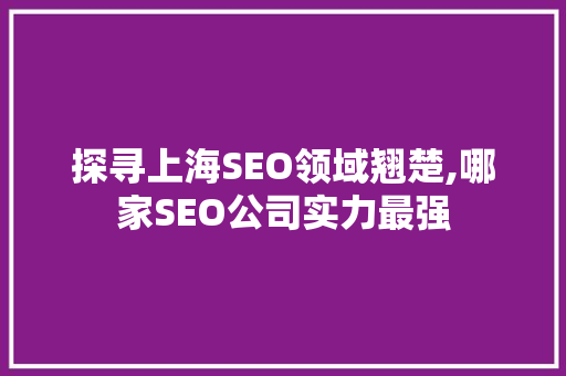 探寻上海SEO领域翘楚,哪家SEO公司实力最强