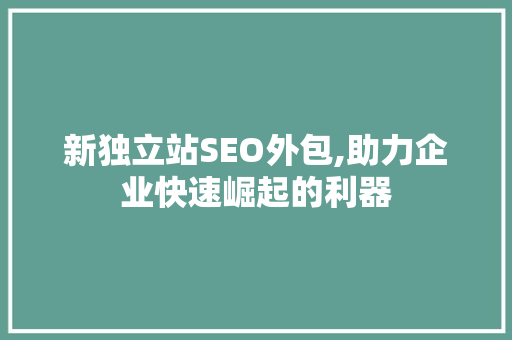 新独立站SEO外包,助力企业快速崛起的利器