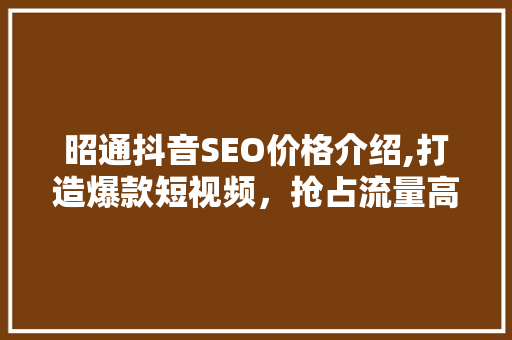昭通抖音SEO价格介绍,打造爆款短视频，抢占流量高地