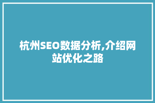 杭州SEO数据分析,介绍网站优化之路