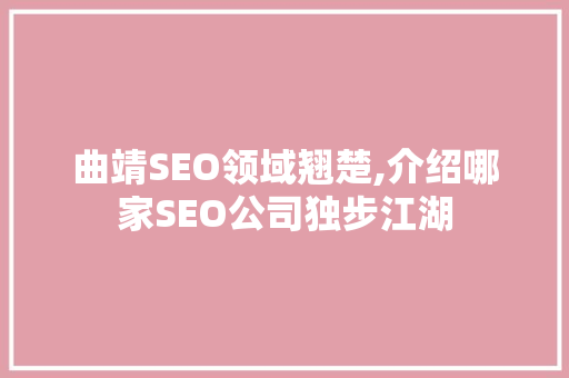 曲靖SEO领域翘楚,介绍哪家SEO公司独步江湖