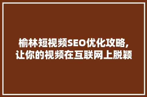 榆林短视频SEO优化攻略,让你的视频在互联网上脱颖而出