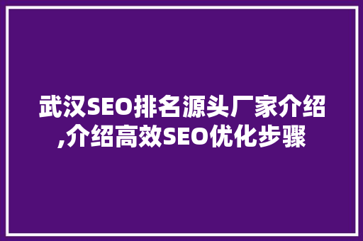 武汉SEO排名源头厂家介绍,介绍高效SEO优化步骤