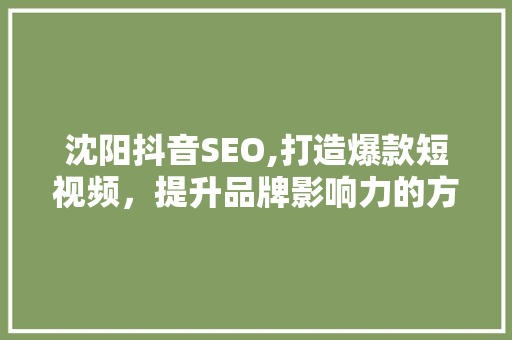 沈阳抖音SEO,打造爆款短视频，提升品牌影响力的方法