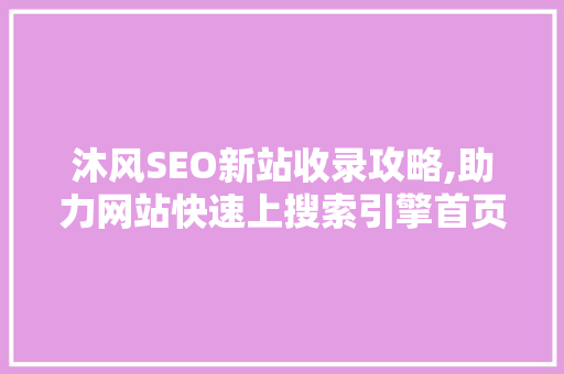 沐风SEO新站收录攻略,助力网站快速上搜索引擎首页