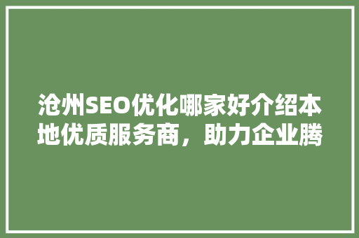 沧州SEO优化哪家好介绍本地优质服务商，助力企业腾飞！