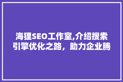 海狸SEO工作室,介绍搜索引擎优化之路，助力企业腾飞