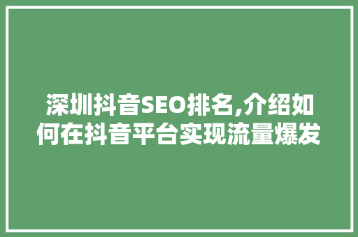 深圳抖音SEO排名,介绍如何在抖音平台实现流量爆发
