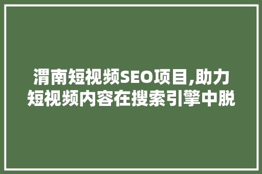 渭南短视频SEO项目,助力短视频内容在搜索引擎中脱颖而出