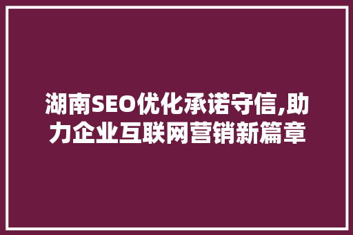 湖南SEO优化承诺守信,助力企业互联网营销新篇章