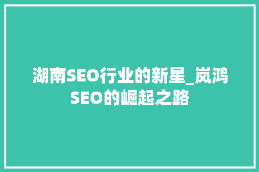 湖南SEO行业的新星_岚鸿SEO的崛起之路
