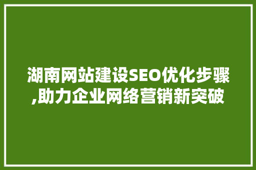 湖南网站建设SEO优化步骤,助力企业网络营销新突破