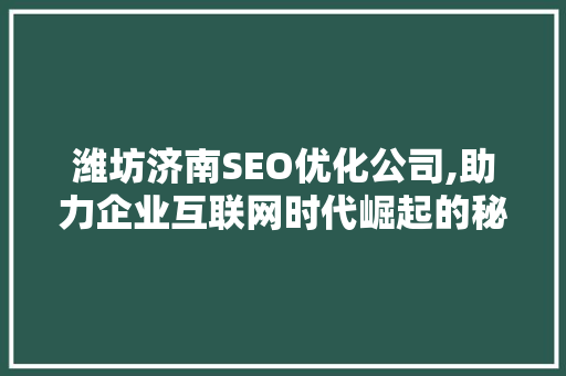 潍坊济南SEO优化公司,助力企业互联网时代崛起的秘密武器