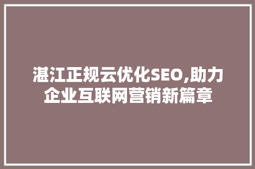 湛江正规云优化SEO,助力企业互联网营销新篇章