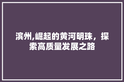 滨州,崛起的黄河明珠，探索高质量发展之路