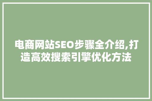 电商网站SEO步骤全介绍,打造高效搜索引擎优化方法