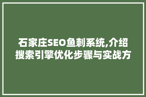 石家庄SEO鱼刺系统,介绍搜索引擎优化步骤与实战方法
