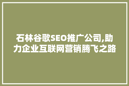 石林谷歌SEO推广公司,助力企业互联网营销腾飞之路