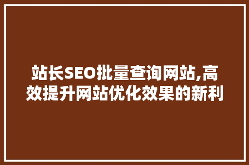 站长SEO批量查询网站,高效提升网站优化效果的新利器