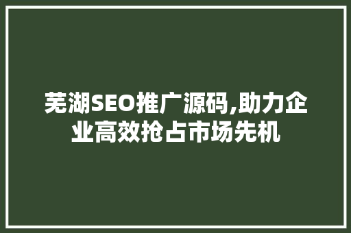 芜湖SEO推广源码,助力企业高效抢占市场先机