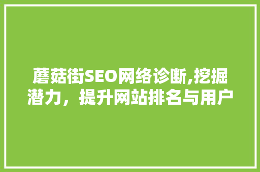 蘑菇街SEO网络诊断,挖掘潜力，提升网站排名与用户体验