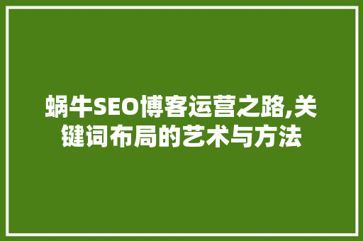 蜗牛SEO博客运营之路,关键词布局的艺术与方法