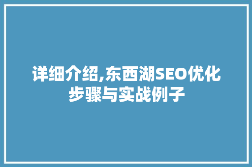 详细介绍,东西湖SEO优化步骤与实战例子