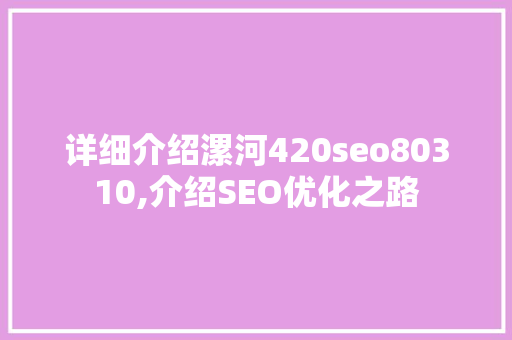 详细介绍漯河420seo80310,介绍SEO优化之路