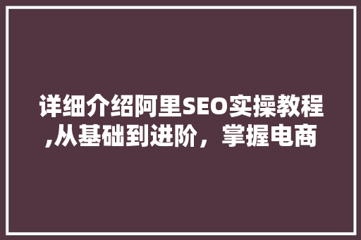 详细介绍阿里SEO实操教程,从基础到进阶，掌握电商SEO优化核心方法