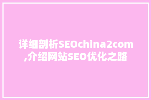 详细剖析SEOchina2com,介绍网站SEO优化之路