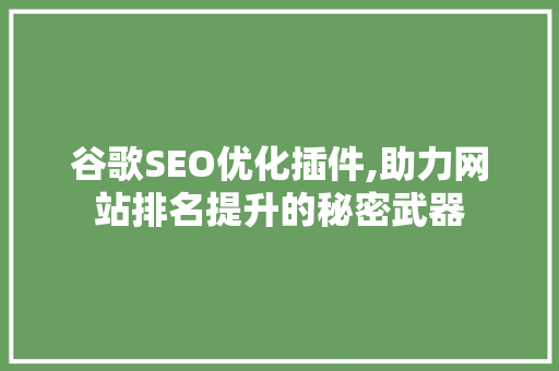 谷歌SEO优化插件,助力网站排名提升的秘密武器