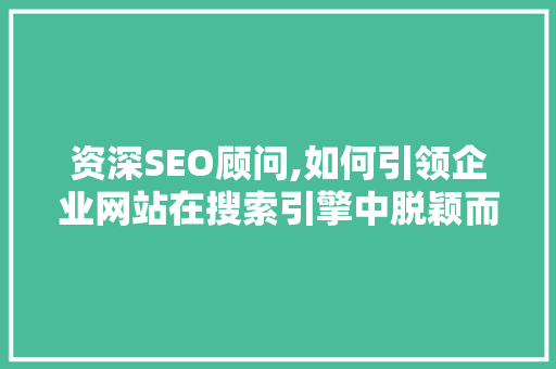 资深SEO顾问,如何引领企业网站在搜索引擎中脱颖而出