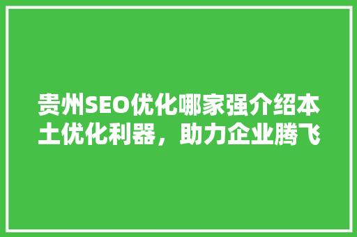 贵州SEO优化哪家强介绍本土优化利器，助力企业腾飞！