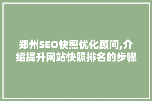 郑州SEO快照优化顾问,介绍提升网站快照排名的步骤与方法