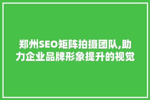 郑州SEO矩阵拍摄团队,助力企业品牌形象提升的视觉利器