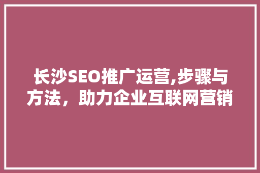 长沙SEO推广运营,步骤与方法，助力企业互联网营销腾飞