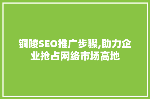 铜陵SEO推广步骤,助力企业抢占网络市场高地