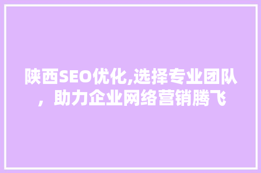 陕西SEO优化,选择专业团队，助力企业网络营销腾飞