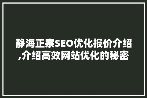 静海正宗SEO优化报价介绍,介绍高效网站优化的秘密武器