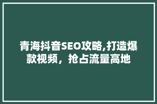青海抖音SEO攻略,打造爆款视频，抢占流量高地