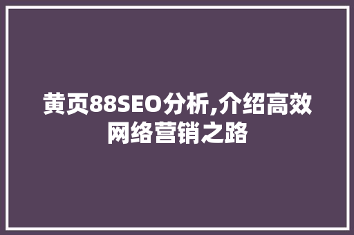 黄页88SEO分析,介绍高效网络营销之路